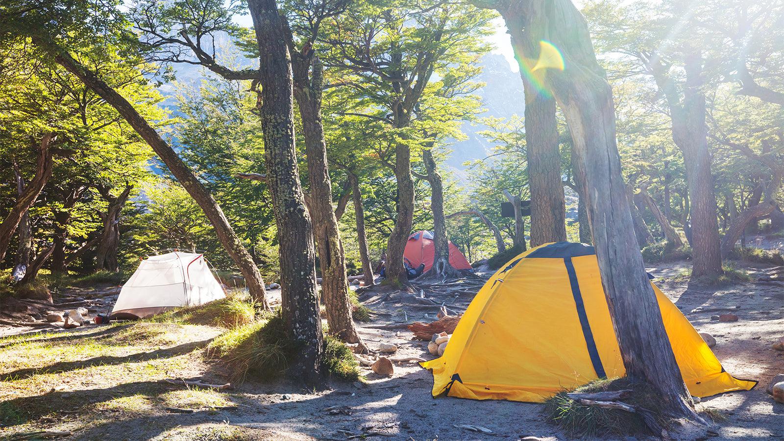 How to Select a Good Campsite? - GeerTop Outdoor